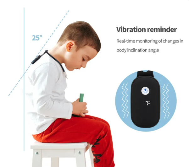 The Smart Posture core